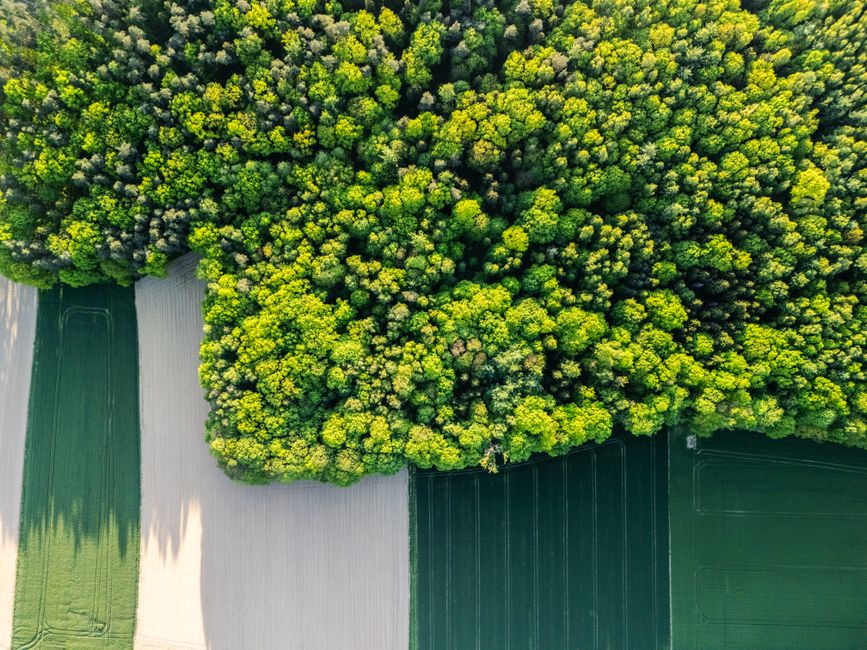 Bioeconomia Amazónia — Stunning aerial view of vibrant green forest merging with patterned agricultural fields.